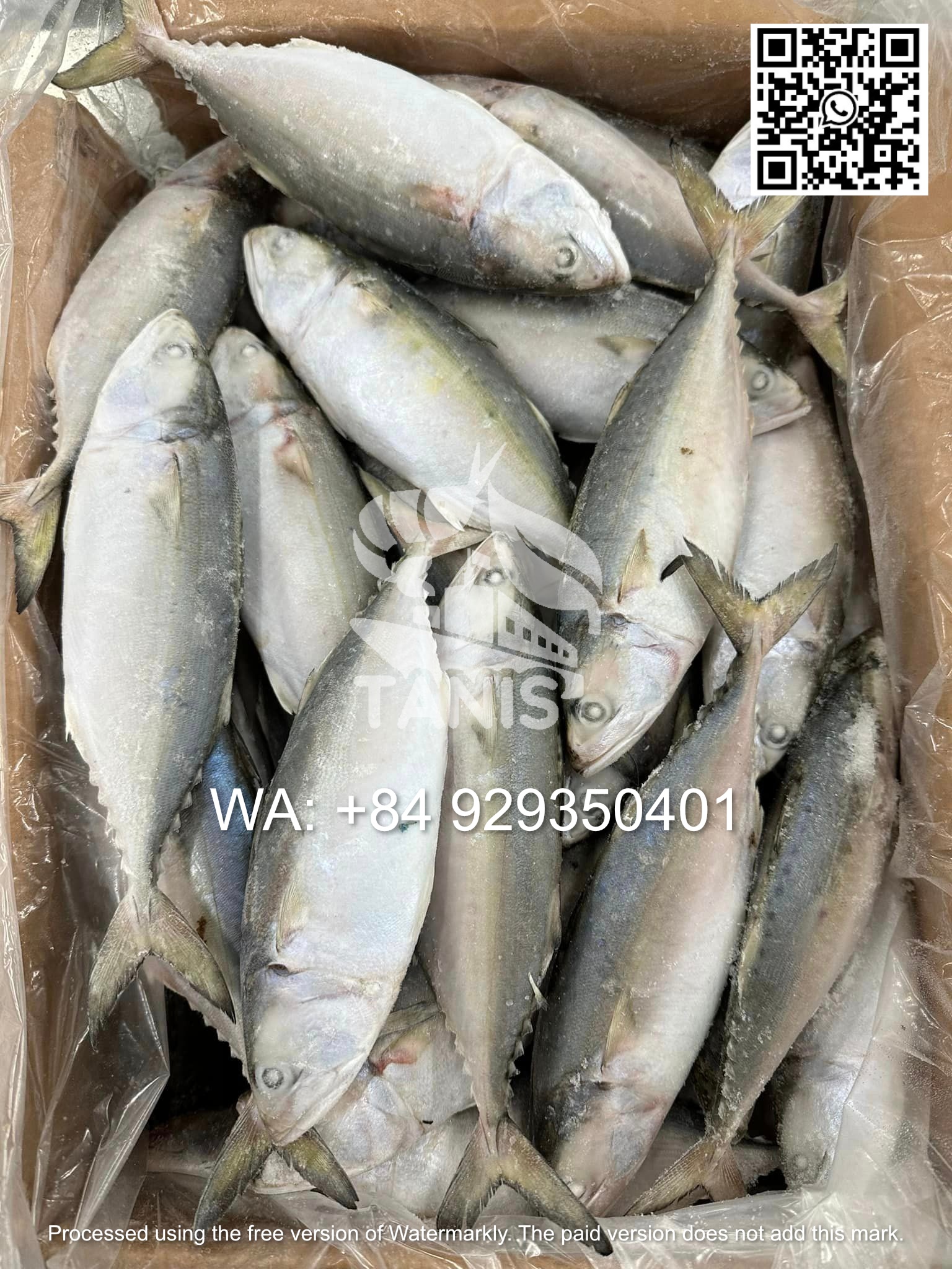 bce7cd18298d479db31d4964af1502a0