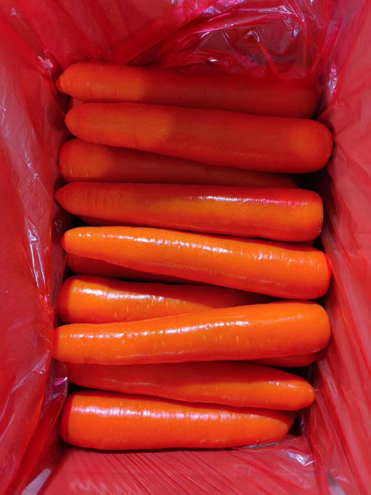 Top 4 Fresh Vegetables suppliers in China - 4