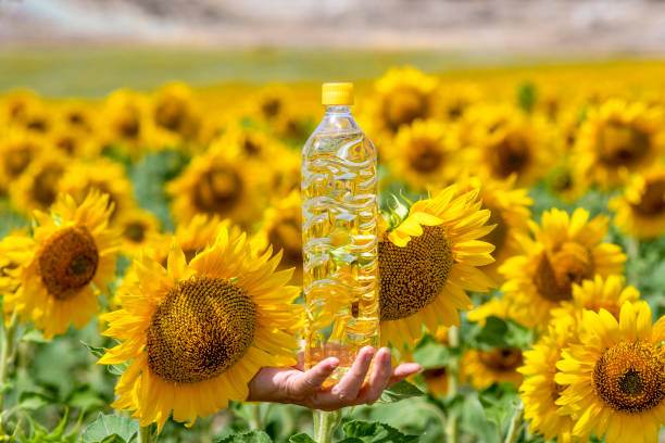 A Comprehensive Guide to Sourcing High-Quality Sunflower Oil: Top 4 Sunflower Oil Suppliers in Malaysia in Year 2025