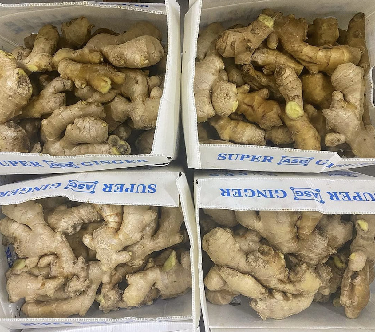 SUPER FRESH HARVEST WHOLE GINGER LARGE SIZE,HIGH FIBER STRENGHT GINGER 13kg