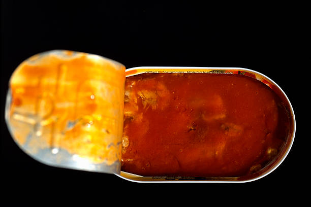 A Comprehensive Guide to Sourcing High-Quality Canned Fish: Top 6 Canned Fish Suppliers in Italy in September 2025