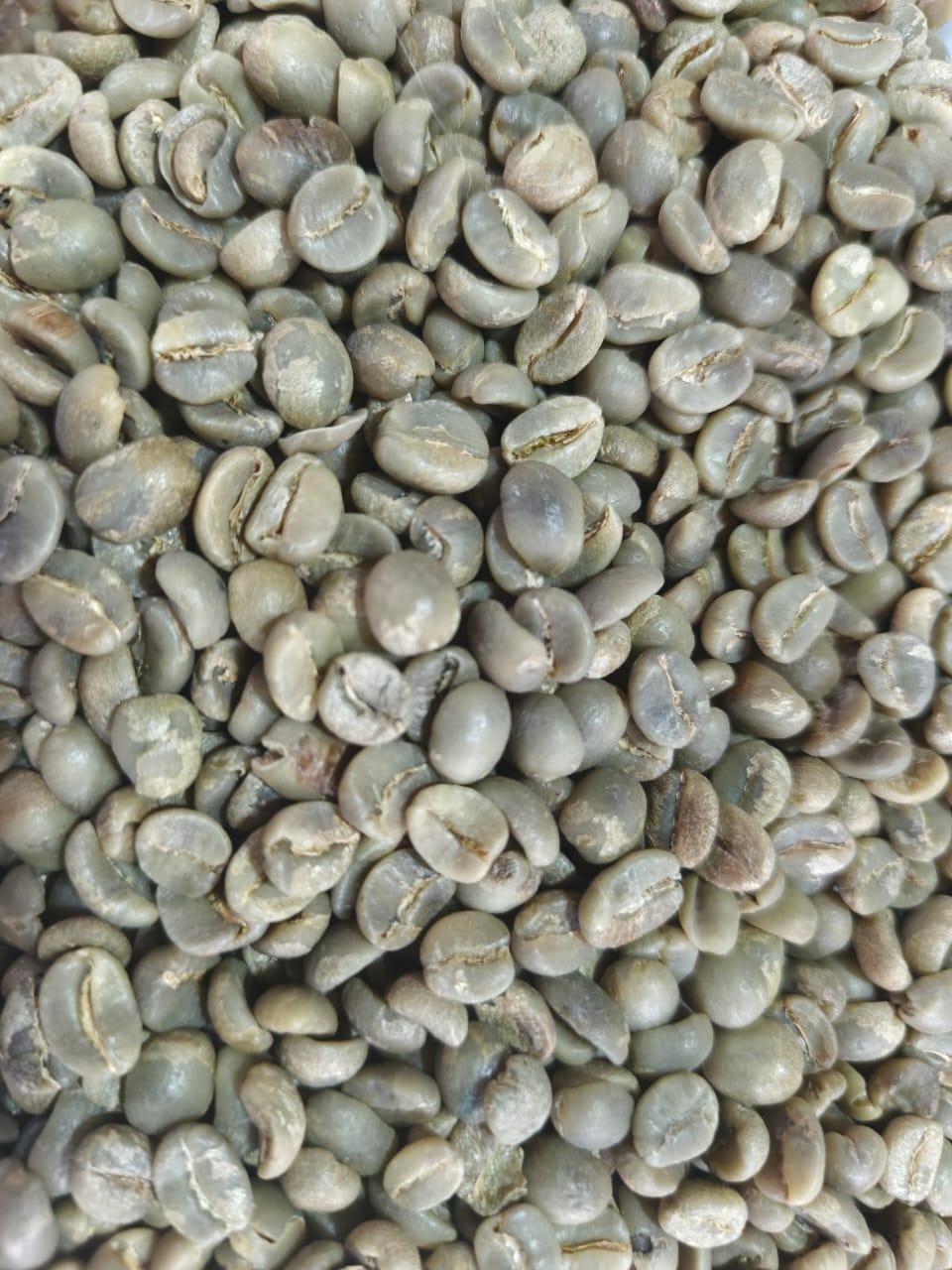 green gold coffee