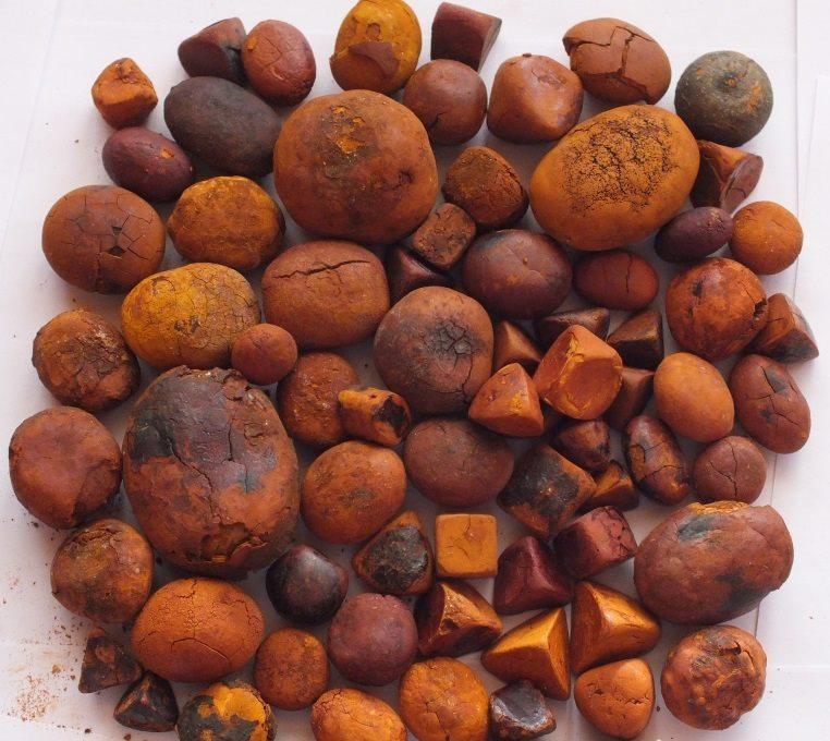 Ox,Cow,Cattle, Gallstones Size Large Stones Type COW GALLSTONE Color Yellow Golden Orange Color Bilirubin Content Not Less Than 35%