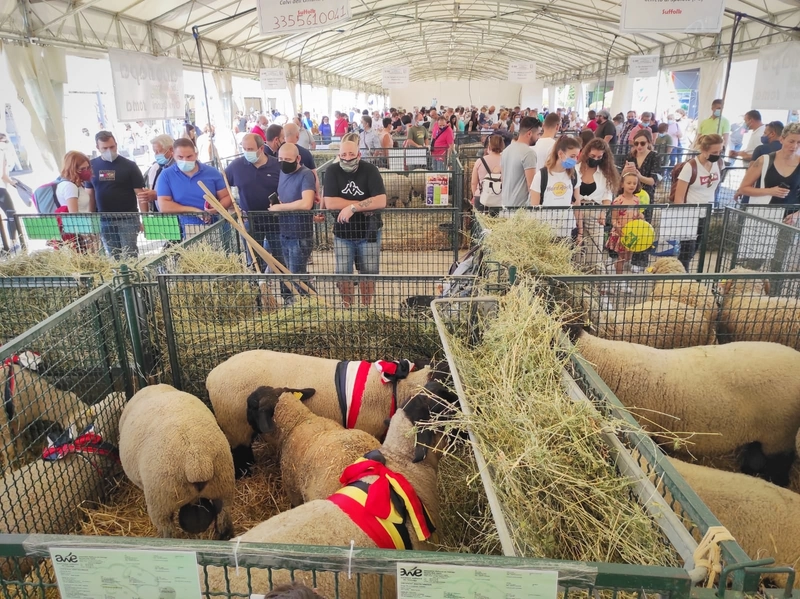 Inside Agriumbria: B2B Key Insights - 2