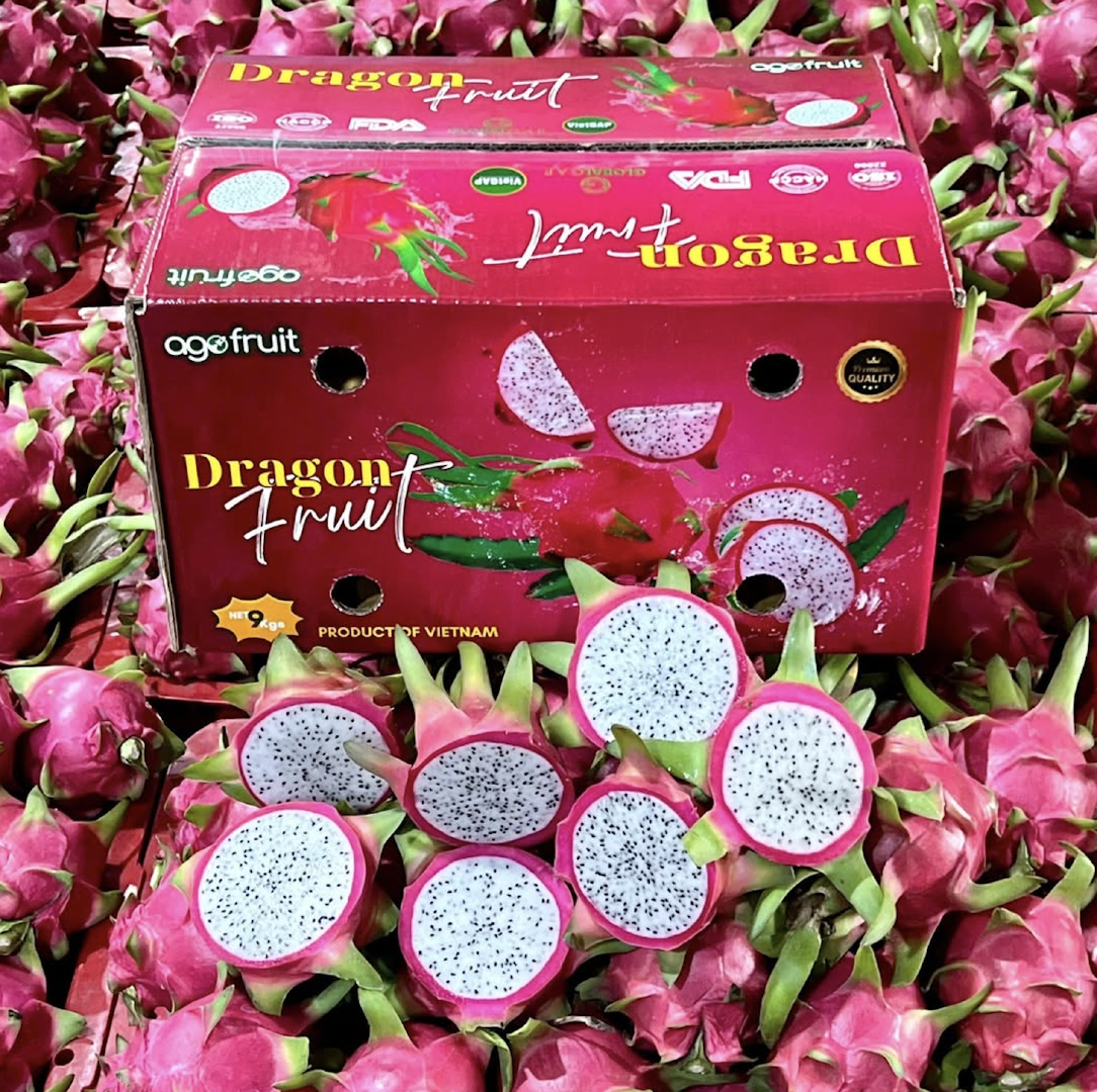Premium Fresh Produce – Premium Dragon Fruit 9kg Export Box On Sale – product thumbnail, market insight supplier card