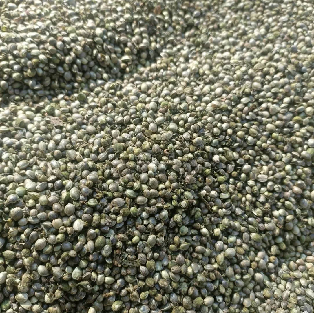 Best Organic Hemp Seeds – Premium Plant-Based Superfood – product thumbnail, market insight supplier card