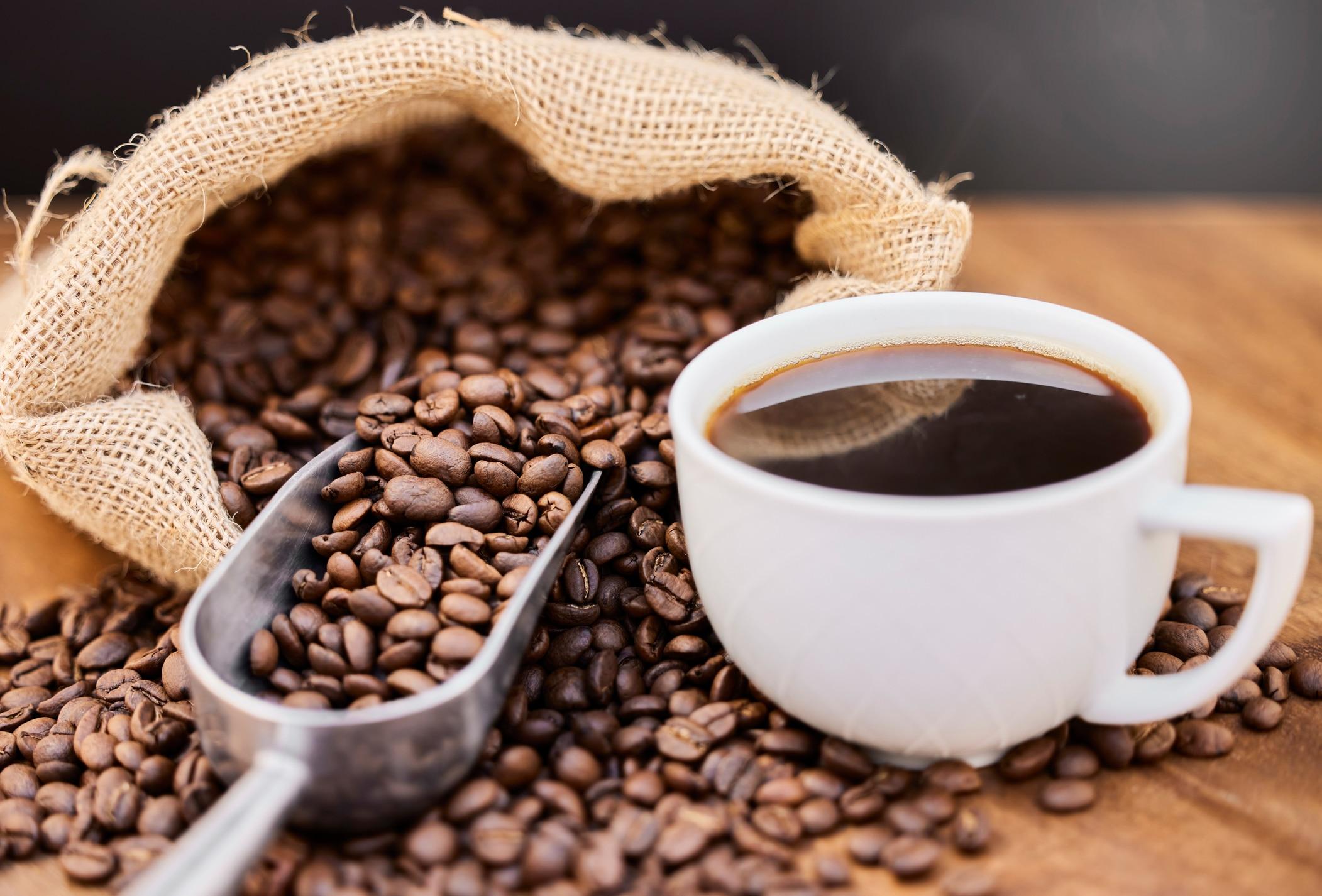 Wholesale Robusta Coffee beans wholesale 100% Arabica Coffee Beans - Wholesale - Green or Roasted in Bulk Jute Bag