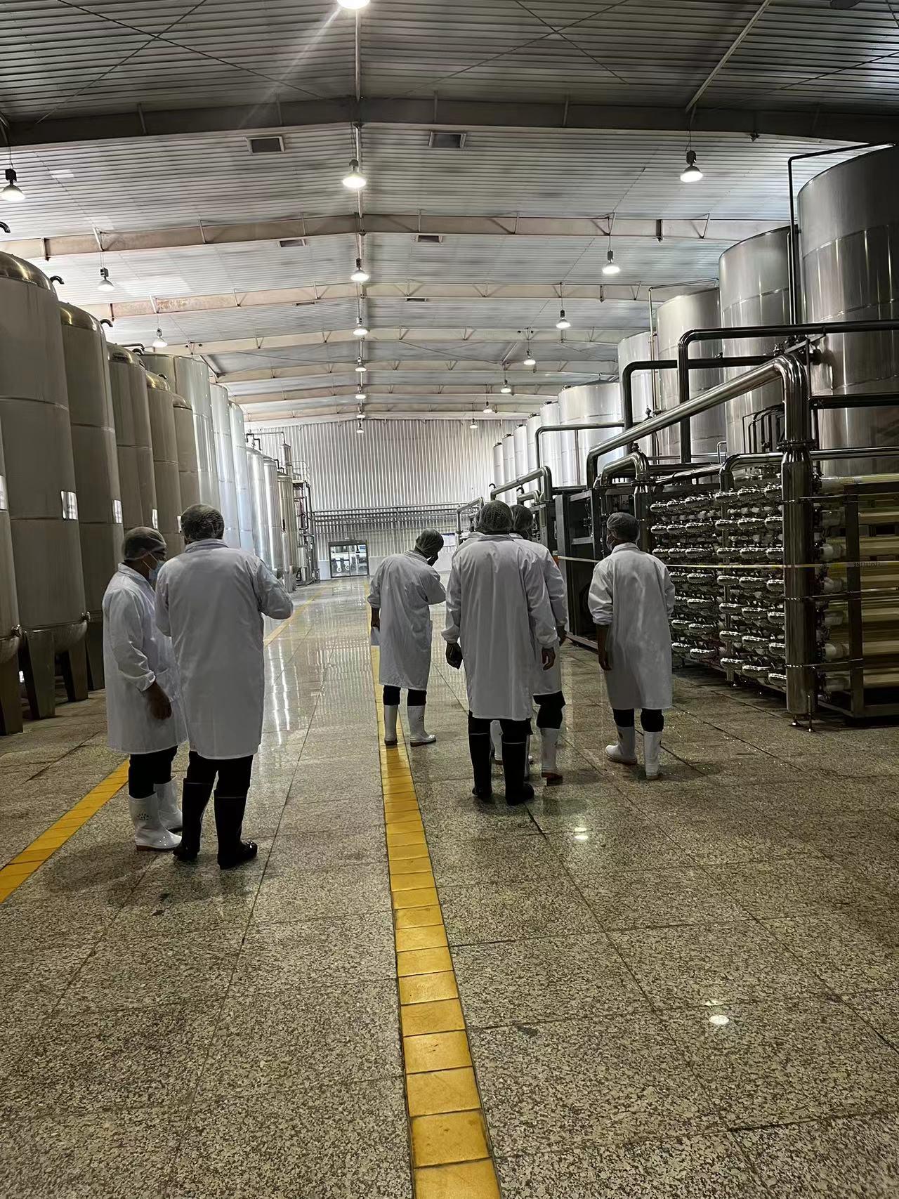 Apple Juice Production