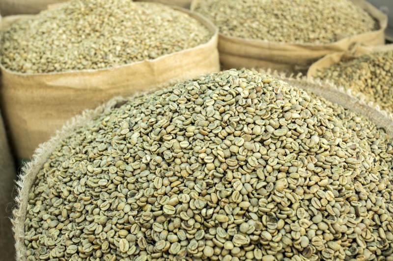 Harvested Green Coffee Beans