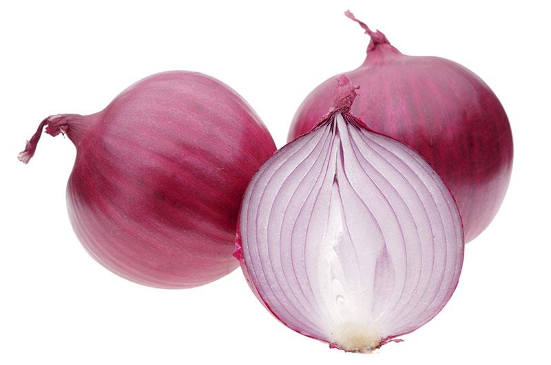 Vegetable packing fresh red/yellow/white/brown onions for Export high quality price