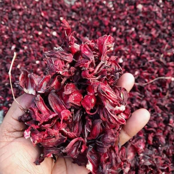 Hibiscus Tea