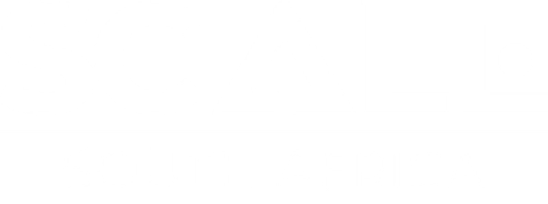 Scale South Africa Revealed: B2B Opportunity