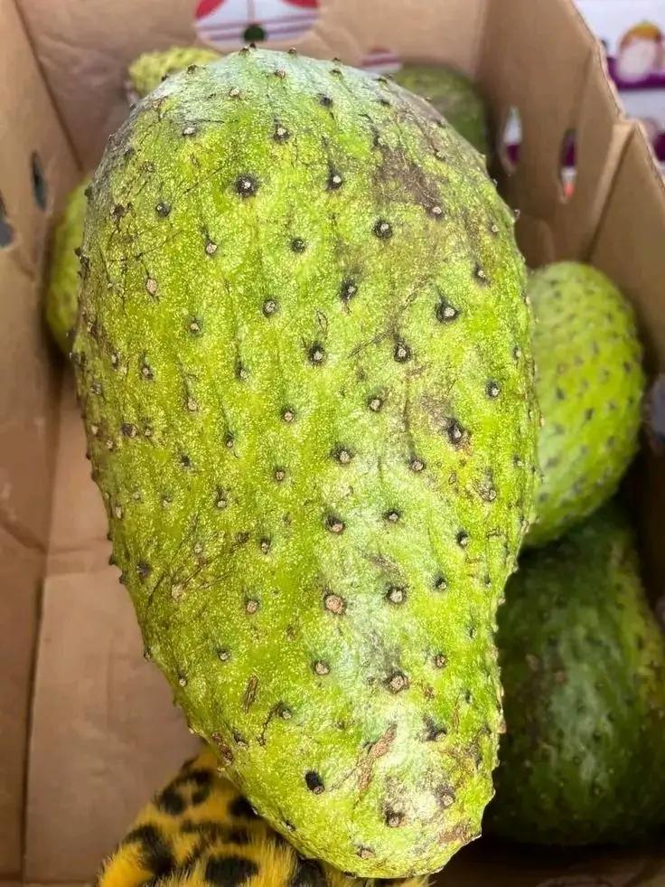 Soursop fruits