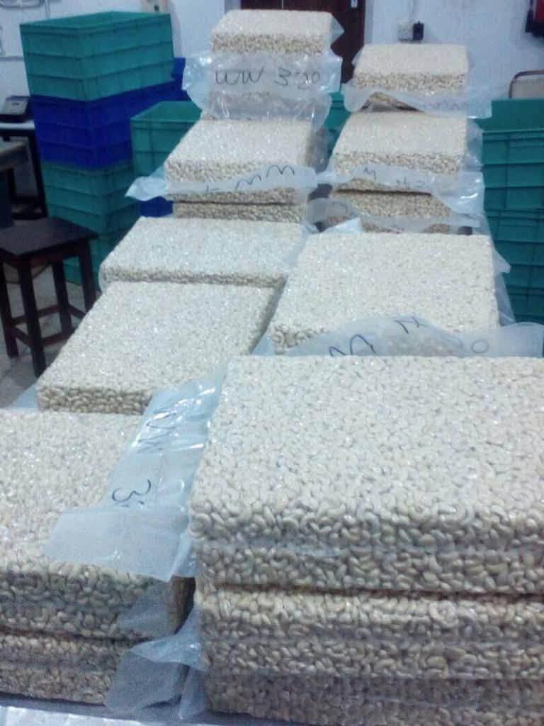 Cashew Nuts with All Type Are Available (W180 W240 W320 W450) for Wholesale cashew