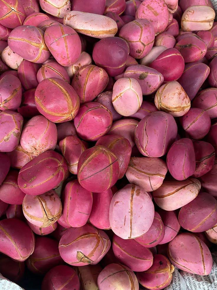 kolanut