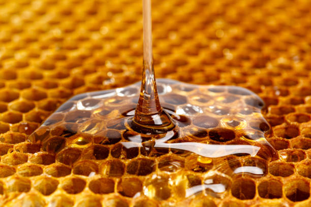 Top 10 Honey Suppliers in Portugal in July 2025: Navigating a Sweet but Shifting Market