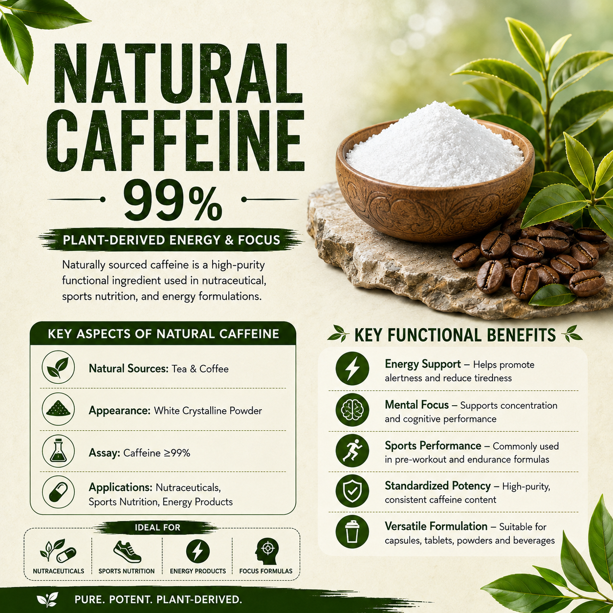 Natural Caffeine Anhydrous 99% Powder | Green Tea & Coffee Bean Extract | Pure 99% Purity