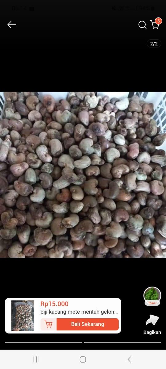Raw Cashew Nuts Image 1