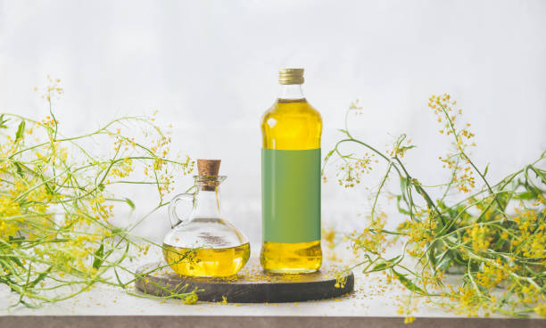 Top 5 Edible Oils Suppliers in Thailand in Week 02 of 2025
