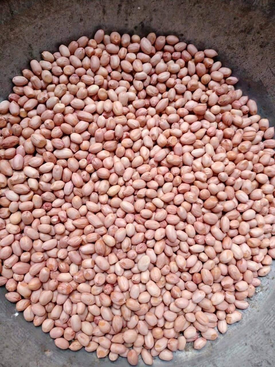 Blanched Peanuts Image 2