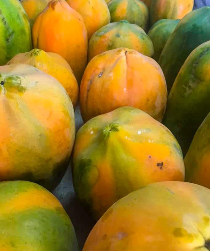 Papaya 100% Natural South African High Quality Green/yellow Oval A Grade Yellow Packaging Fruit Wholesale Fresh Papaya Sale