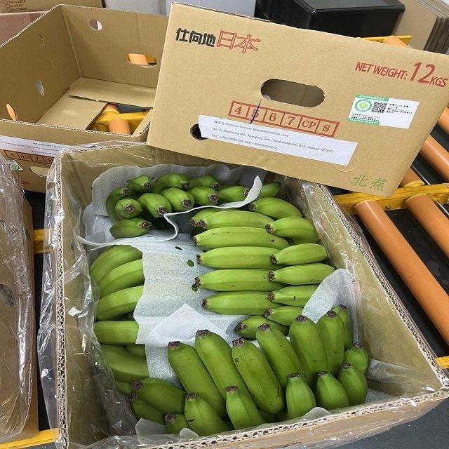 Natural Fresh Cavendish Banana Export from Vietnam with Consistent Quality for Global Wholesale Buyers