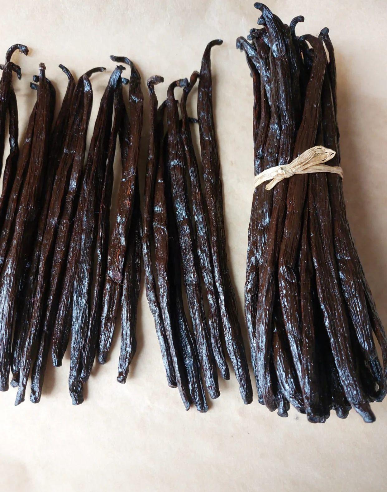 Madagascar Vanilla Beans,vanilla Beans Kg,vanilla Beans Madagascar for Sale