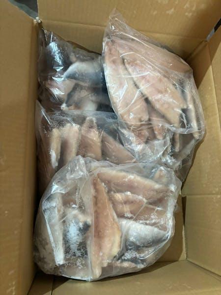 Frozen and fresh Horse mackerel fish. Frozen & Fresh Horse Mackerel Fish – Whole Round | Trachurus Species | Export Quality