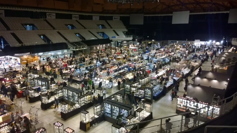 BOLOGNA MINERAL SHOW / BIJOUX EXPO Spotlight: B2B Essentials - 1
