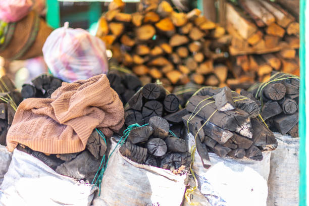 Top 3 Charcoal Suppliers in Vietnam in Quarter 3 of 2025: Market Insights, Trends & Strategic Moves