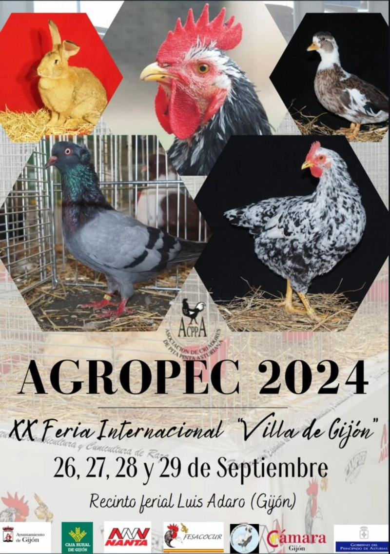 Inside AGROPEC: B2B Key Insights