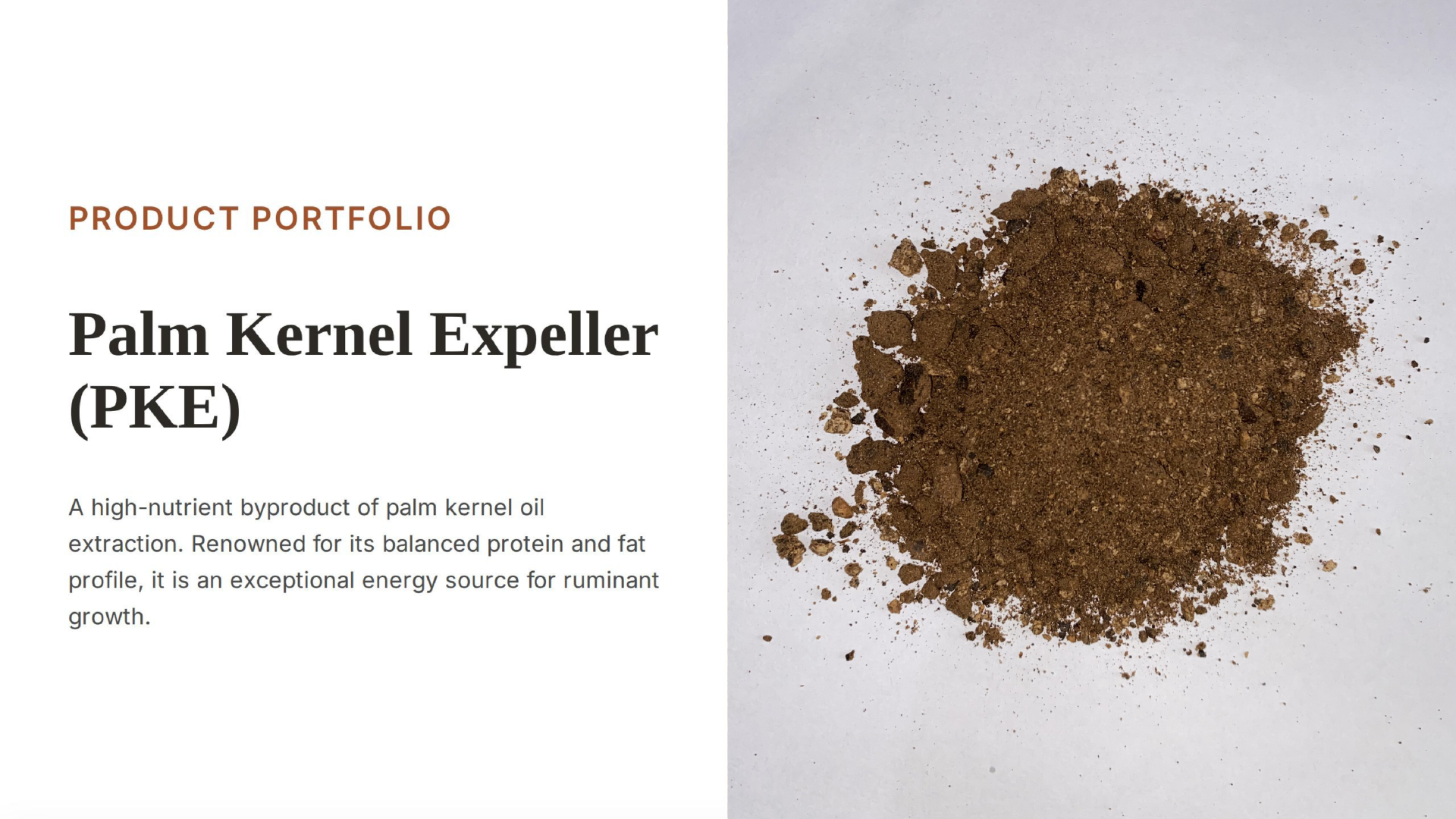 Palm kernel expeller
