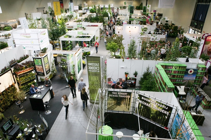 Why GREEN IS LIFE Matters for B2B