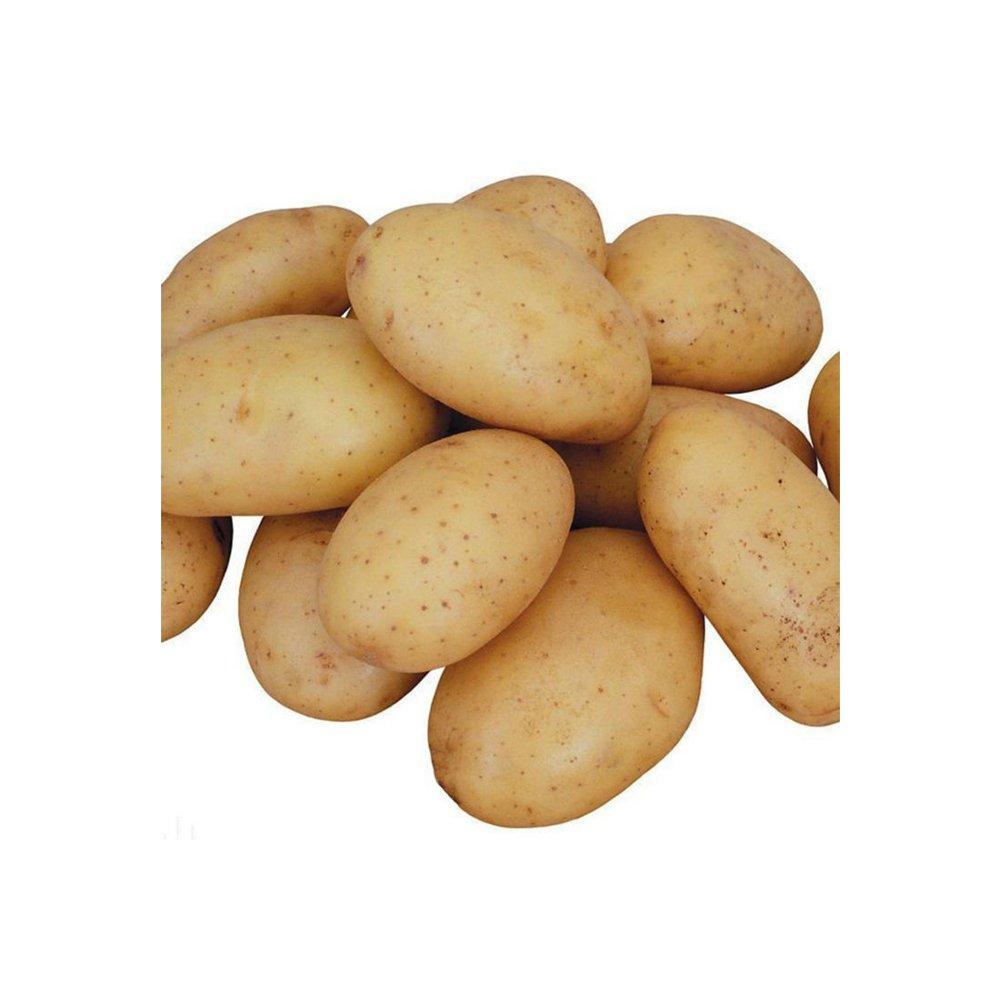 Good vegetable fresh potato export wholesale price Organic Yes Features Floury Freshness Level Fresh Degree of Processing Blanched