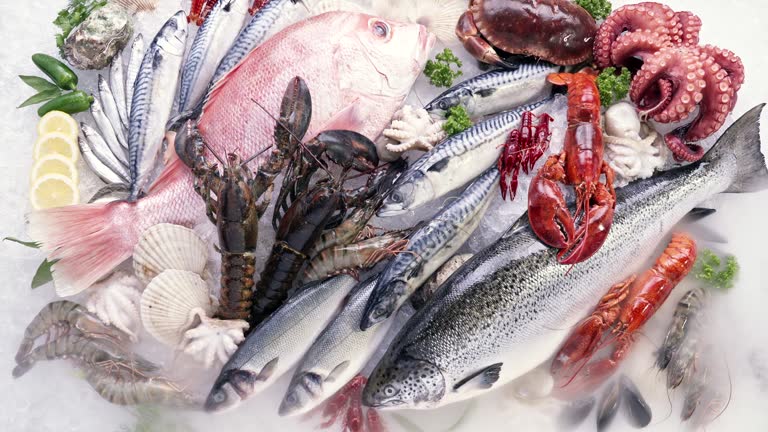 Top 10 Seafood Suppliers in United States in Quarter 3 of 2025