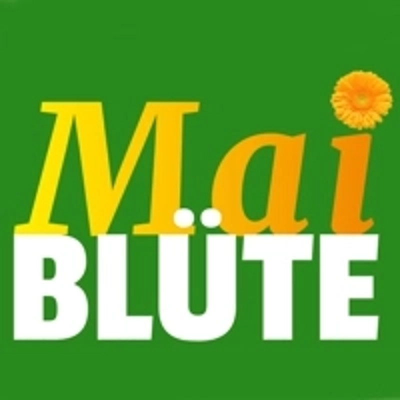 Maiblüte Revealed: B2B Opportunity