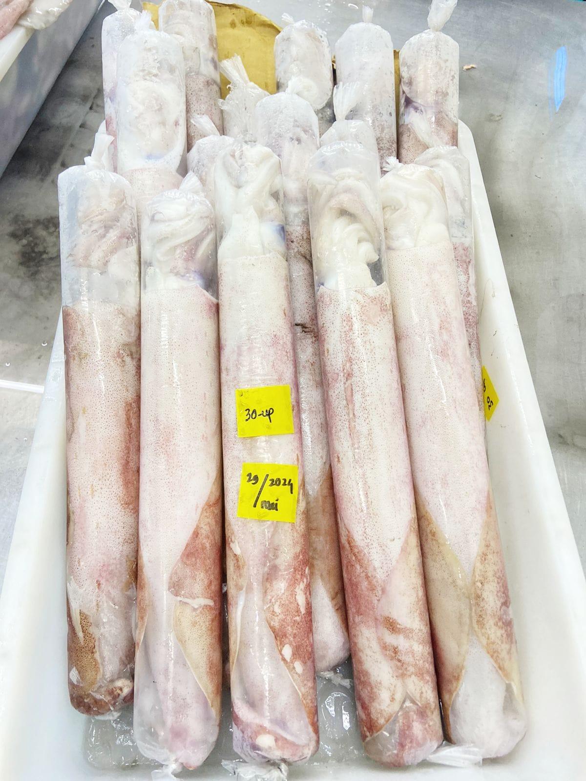 Frozen Squid Packaging