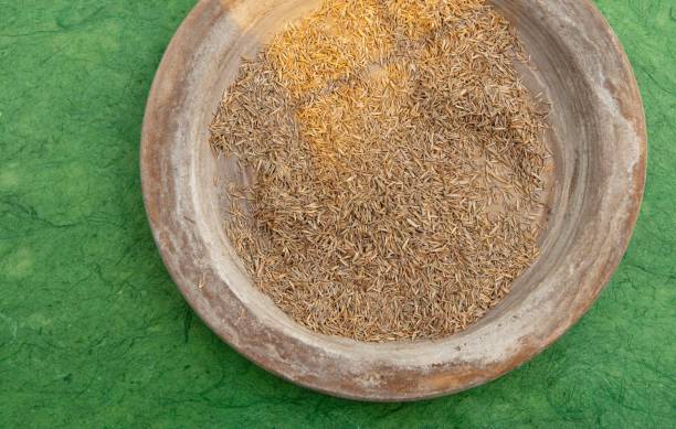Your Expert Guide to Procuring Top-Tier Cumin Seeds: Top 4 Cumin Seeds Suppliers in Canada in July 2025