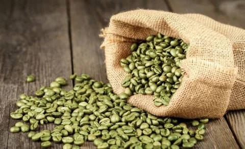 Discover the top 6 Green Coffee suppliers in South Africa