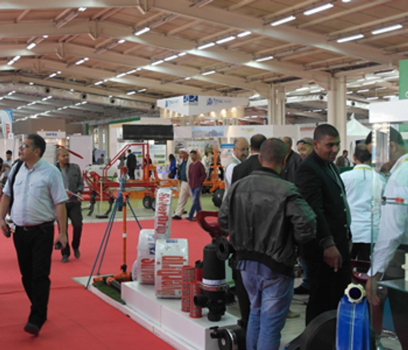 Why BEST5 ALGERIA Matters for B2B