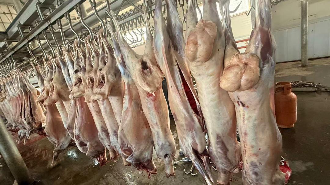 Tanzanian mutton meat