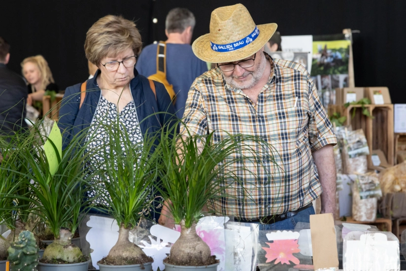BLUEHENDES OESTERREICH - GARTENMESSE Spotlight: B2B Essentials - 1