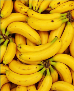 Cavendish Bananas
