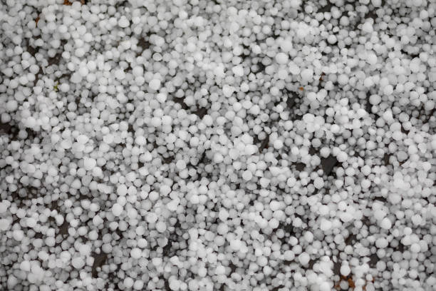 Top 6 Urea Suppliers in India in June 2025: A Data-Driven Export Market Analysis