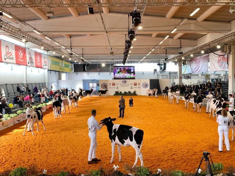 Italian Agricultural and Livestock Fair Revealed: B2B Opportunity - 3