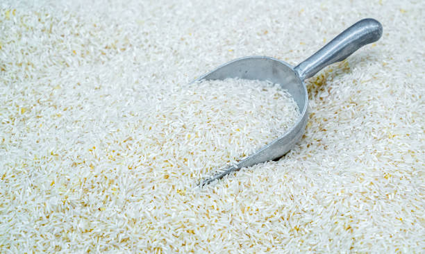 A Comprehensive Guide to Sourcing High-Quality Non Basmati Rice: Top 8 Non Basmati Rice Suppliers in Malaysia in Quarter 3 of 2025