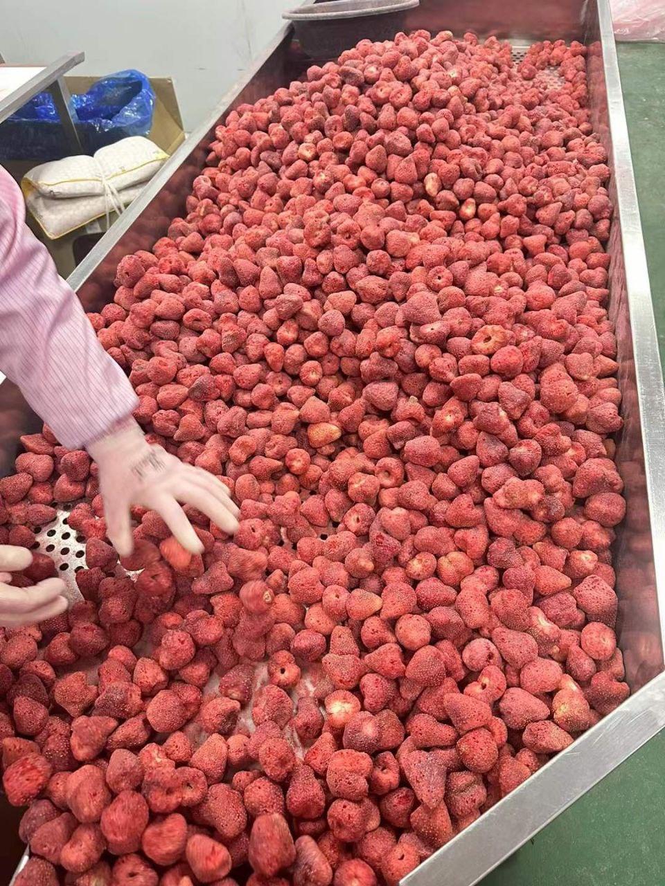 Strawberry Image 4