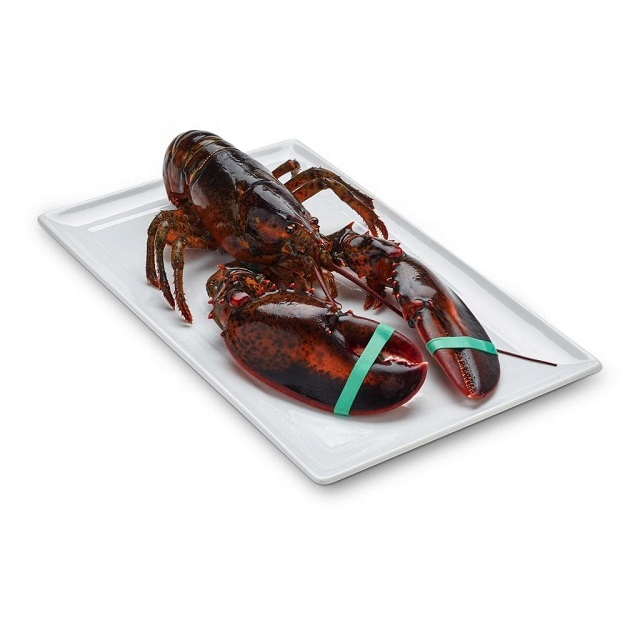 Wholesale Exporter We Sell Frozen Lobster / Live Lobster/Frozen Seafood