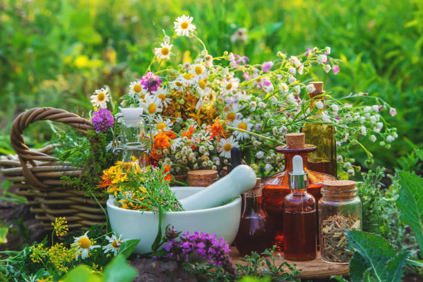 Top 7 Herbal Products Suppliers in Austria in Year 2025
