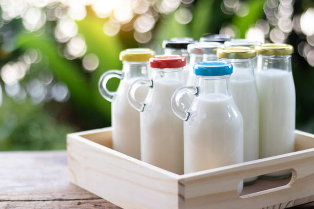 A Comprehensive Guide to Sourcing High-Quality Other Milk: Top 5 Other Milk Suppliers in China in Year 2025